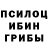 Псилоцибиновые грибы мицелий depocamu