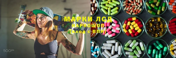 прущие грибы Покачи