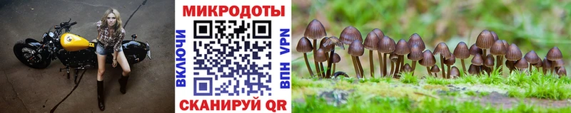 Галлюциногенные грибы Psilocybine cubensis  дарнет шоп  KRAKEN вход  Тихвин 